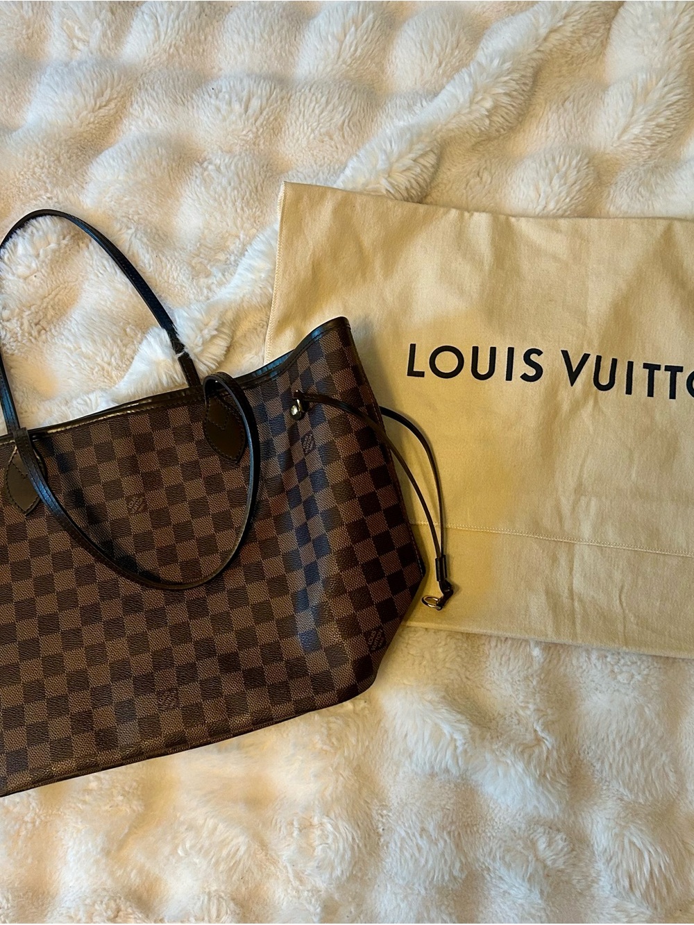 Louis Vuitton Brown Damier Ebene Canvas Tote